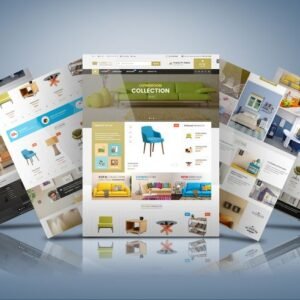 Mastering the Web Design Business: From Freelancer to Agency